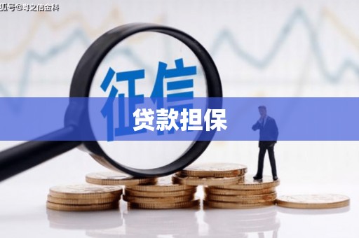 兴隆贷款担保