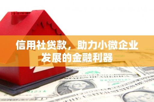 兴隆信用社贷款，助力小微企业发展的金融利器