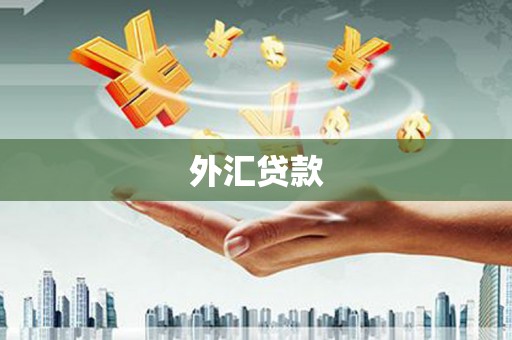 兴隆外汇贷款