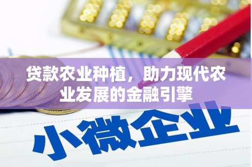 兴隆贷款农业种植，助力现代农业发展的金融引擎
