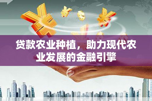 兴隆贷款农业种植，助力现代农业发展的金融引擎