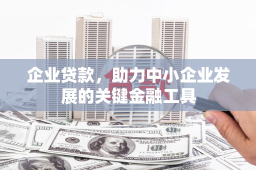 兴隆企业贷款，助力中小企业发展的关键金融工具