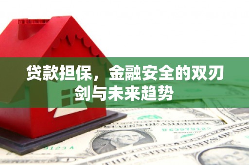 兴隆贷款担保，金融安全的双刃剑与未来趋势