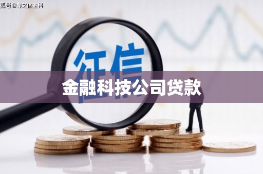 兴隆金融科技公司贷款