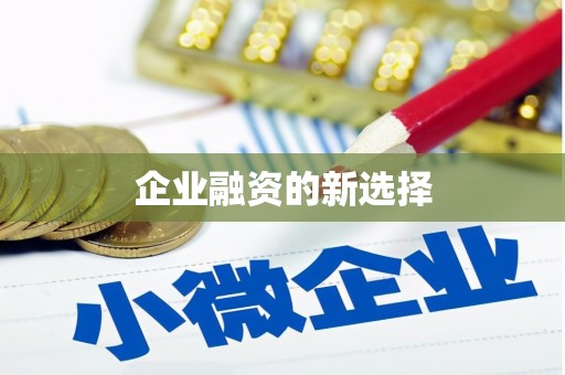 兴隆企业融资的新选择