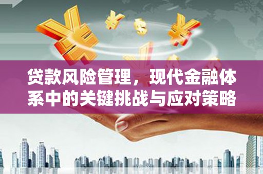 兴隆贷款风险管理，现代金融体系中的关键挑战与应对策略