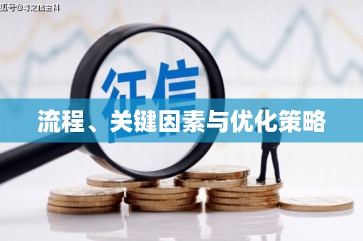 兴隆流程、关键因素与优化策略