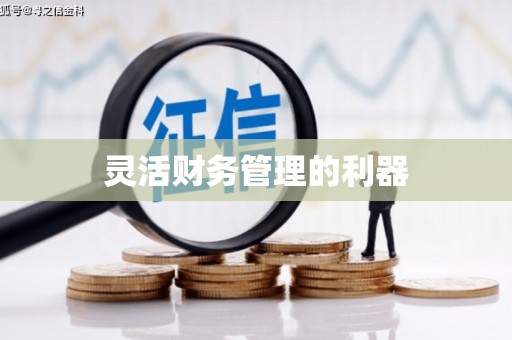兴隆灵活财务管理的利器