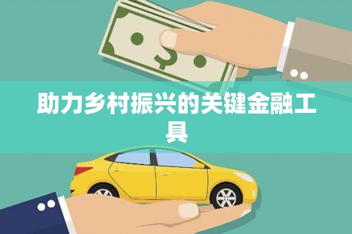 兴隆助力乡村振兴的关键金融工具