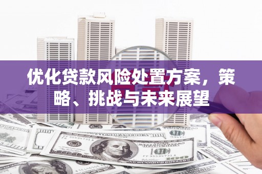 兴隆优化贷款风险处置方案，策略、挑战与未来展望