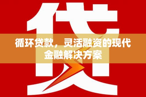 兴隆循环贷款，灵活融资的现代金融解决方案