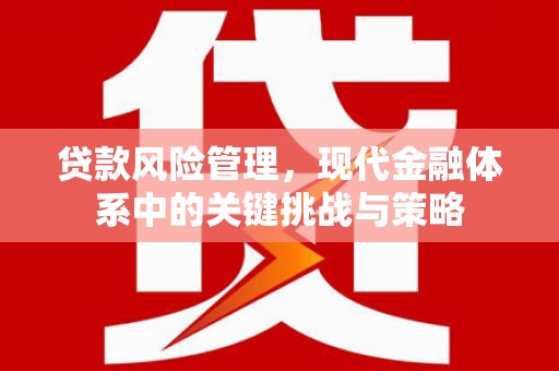 兴隆贷款风险管理，现代金融体系中的关键挑战与策略