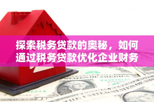 兴隆探索税务贷款的奥秘，如何通过税务贷款优化企业财务