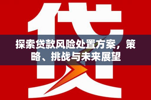 兴隆探索贷款风险处置方案，策略、挑战与未来展望