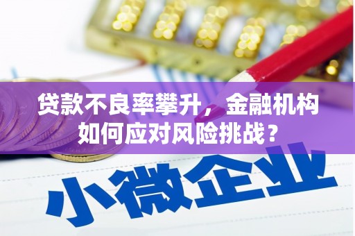 兴隆贷款不良率攀升，金融机构如何应对风险挑战？