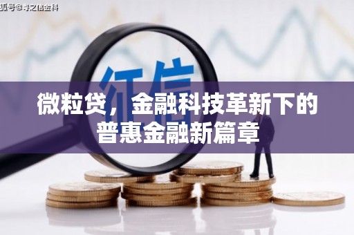 兴隆微粒贷，金融科技革新下的普惠金融新篇章