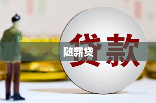 兴隆随薪贷