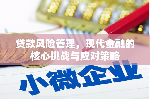 兴隆贷款风险管理，现代金融的核心挑战与应对策略
