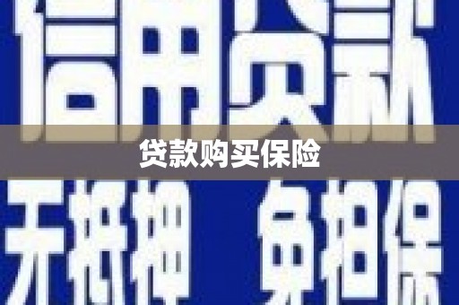 兴隆贷款购买保险