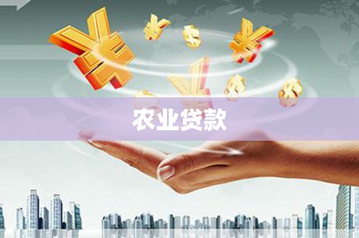 兴隆农业贷款