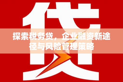 兴隆探索税务贷，企业融资新途径与风险管理策略