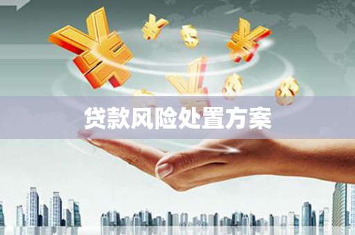 兴隆贷款风险处置方案