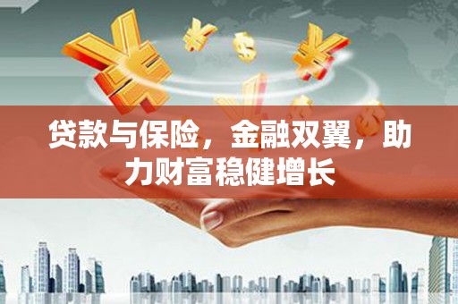 兴隆贷款与保险，金融双翼，助力财富稳健增长