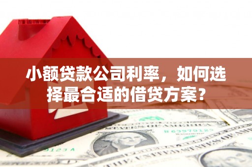 兴隆小额贷款公司利率，如何选择最合适的借贷方案？