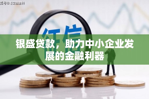 兴隆银盛贷款，助力中小企业发展的金融利器