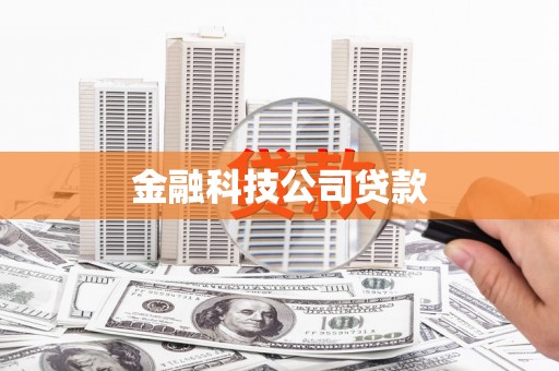 兴隆金融科技公司贷款