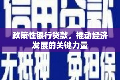 兴隆政策性银行贷款，推动经济发展的关键力量