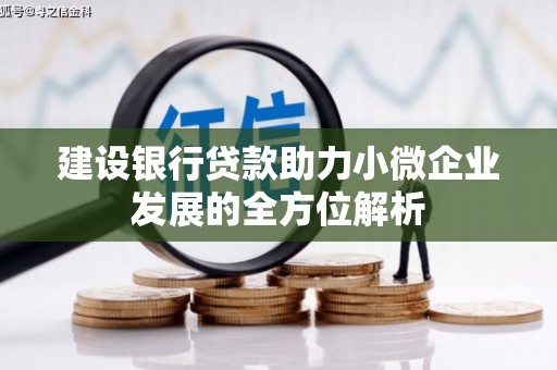 兴隆建设银行贷款助力小微企业发展的全方位解析