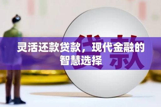 兴隆灵活还款贷款，现代金融的智慧选择