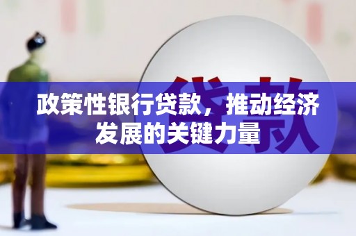 兴隆政策性银行贷款，推动经济发展的关键力量