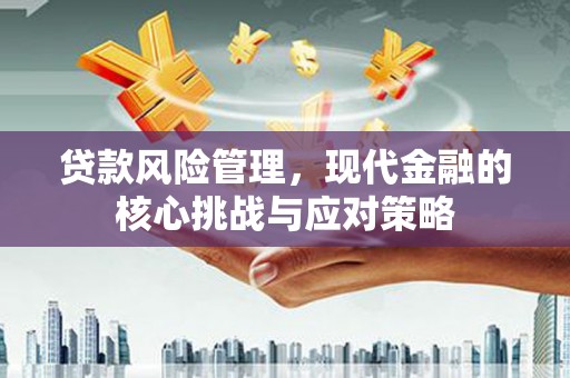 兴隆贷款风险管理，现代金融的核心挑战与应对策略