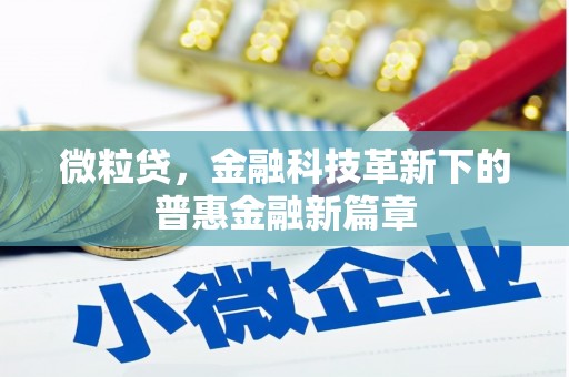 兴隆微粒贷，金融科技革新下的普惠金融新篇章
