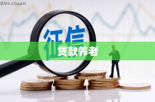 兴隆贷款养老