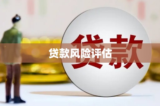 兴隆贷款风险评估
