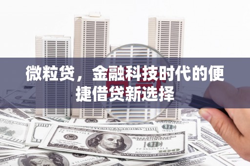 兴隆微粒贷，金融科技时代的便捷借贷新选择