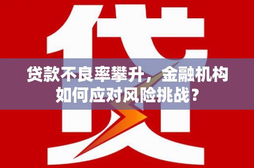兴隆贷款不良率攀升，金融机构如何应对风险挑战？