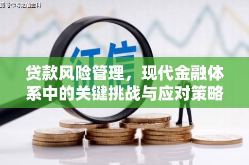 兴隆贷款风险管理，现代金融体系中的关键挑战与应对策略