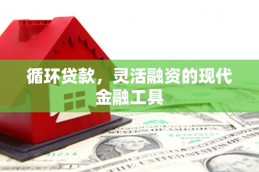 兴隆循环贷款，灵活融资的现代金融工具