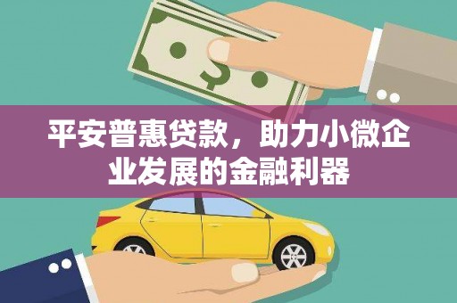 兴隆平安普惠贷款，助力小微企业发展的金融利器
