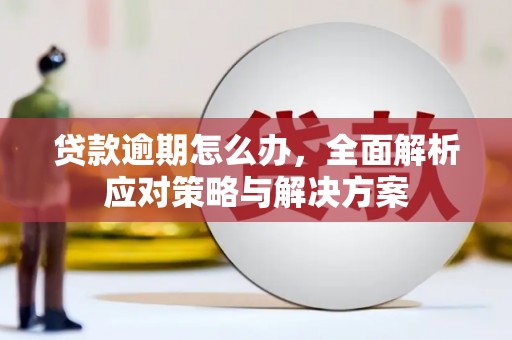 兴隆贷款逾期怎么办，全面解析应对策略与解决方案